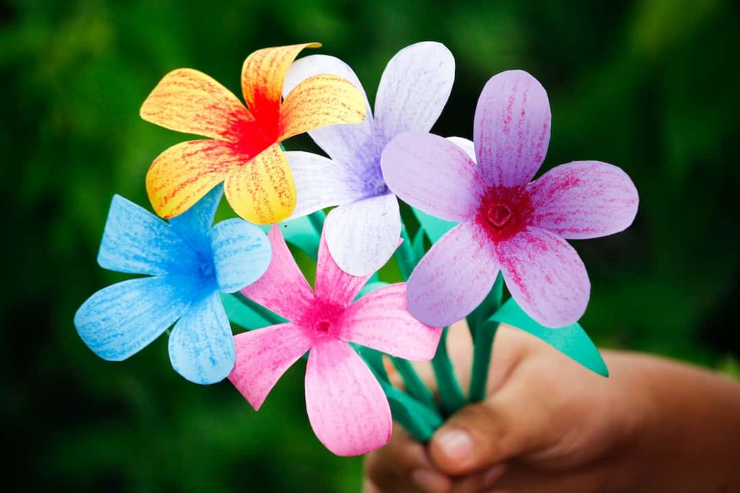 Quelle est la signification des couleurs des fleurs?
